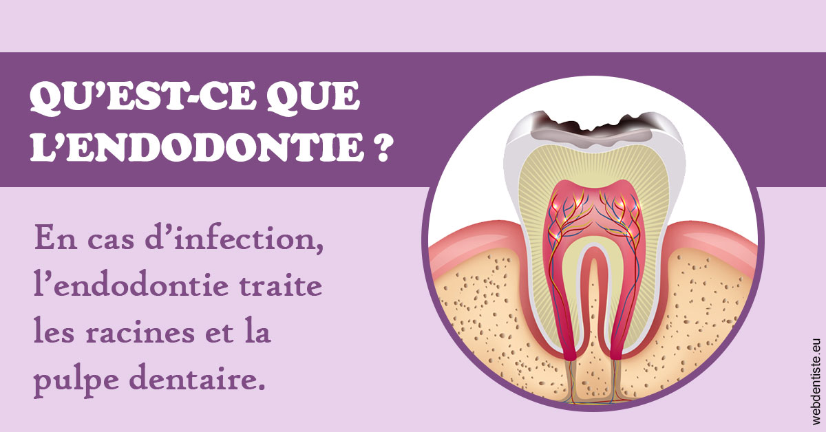 https://dent1ste.fr/2024 T1 - Endodontie 02