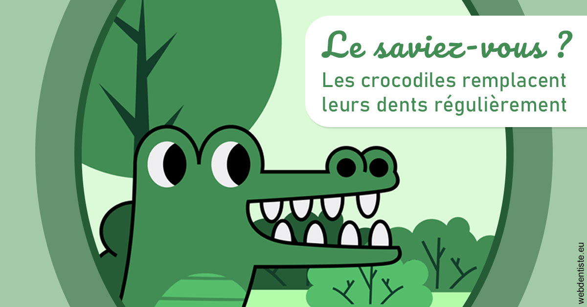 https://dent1ste.fr/Crocodiles 2