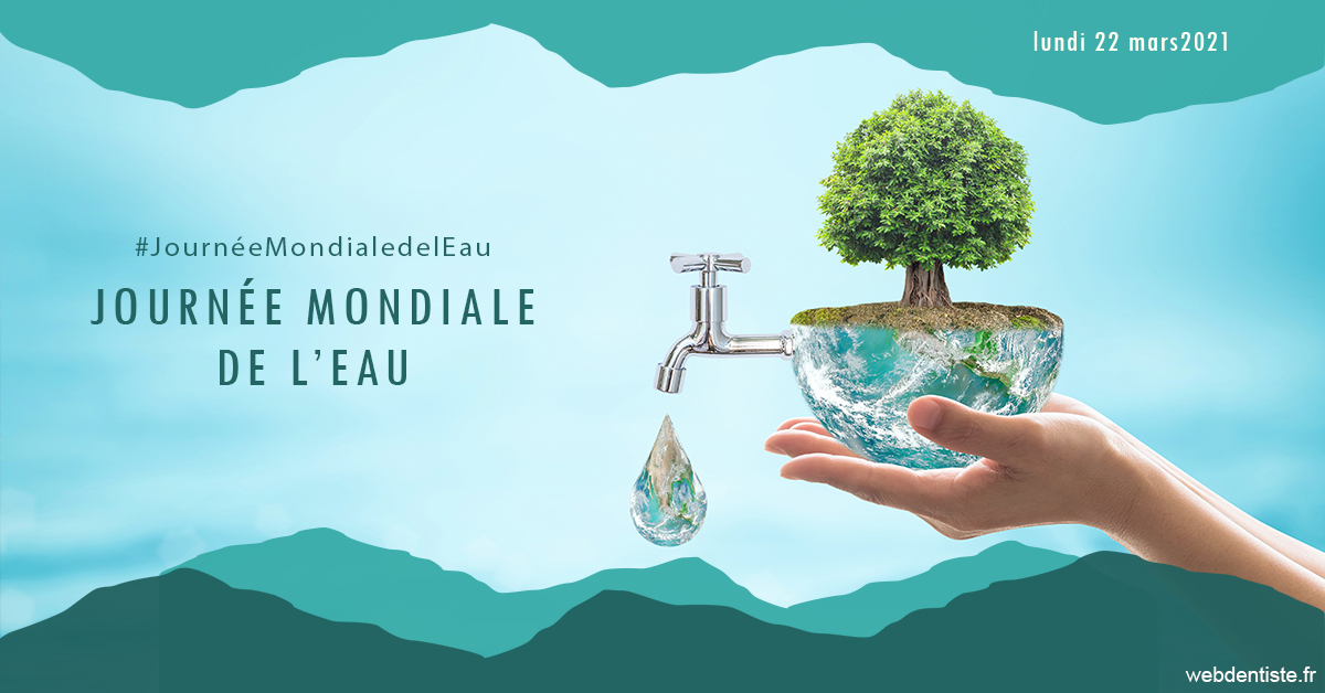 https://dent1ste.fr/Journée de l'eau 1