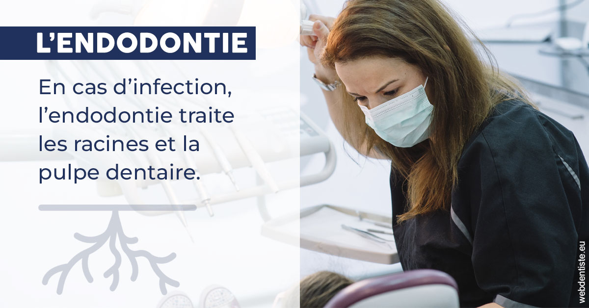 https://dent1ste.fr/L'endodontie 1