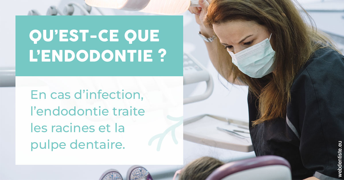 https://dent1ste.fr/2024 T1 - Endodontie 01
