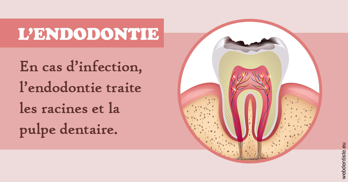 https://dent1ste.fr/L'endodontie 2
